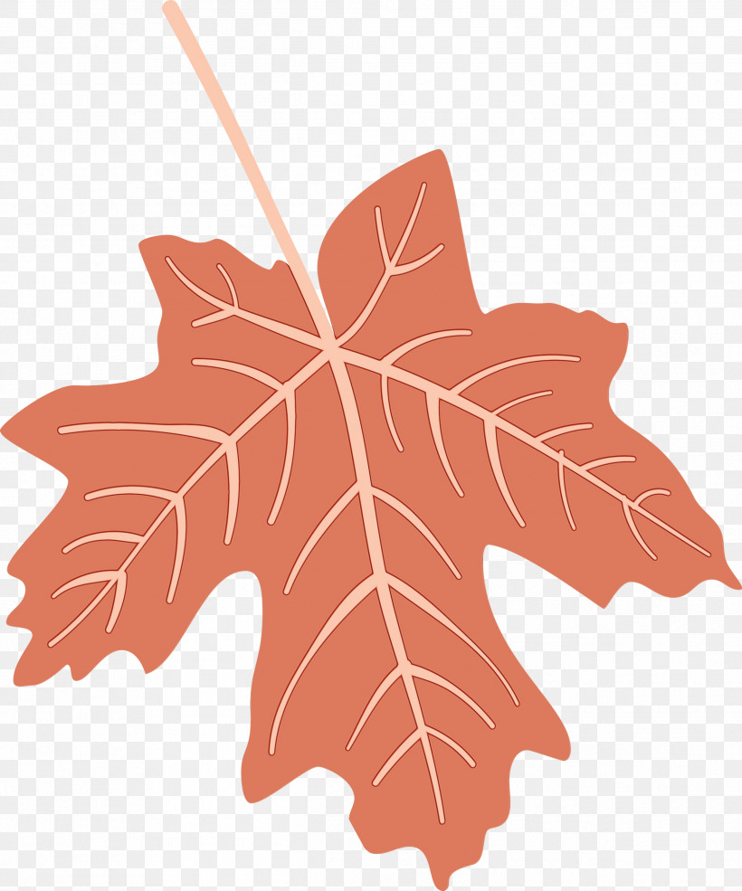 Maple Leaf, PNG, 2496x3000px, Autumn Leaf, Biology, Colorful Leaf, Colorful Leaves, Colourful Foliage Download Free