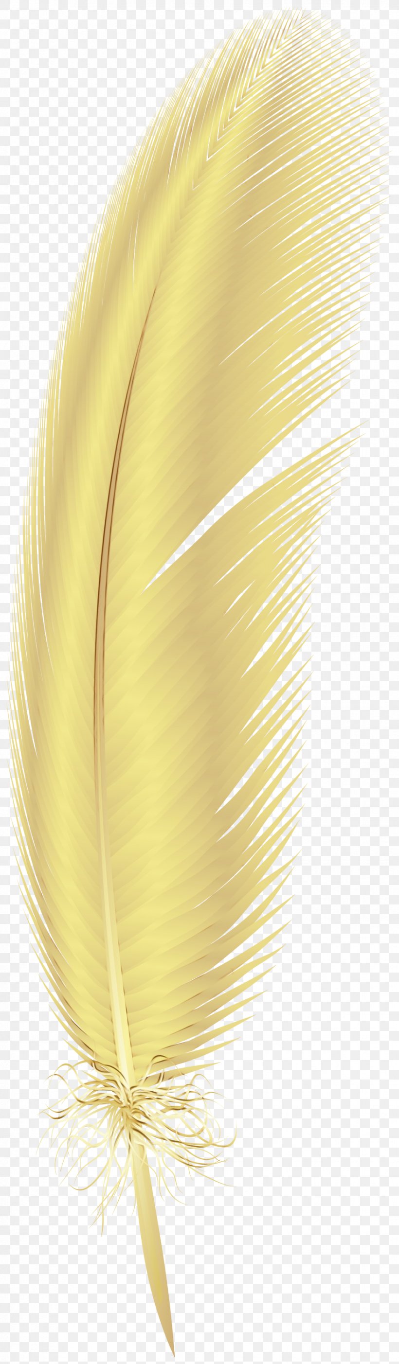 Feather, PNG, 877x3000px, Watercolor, Fashion Accessory, Feather, Paint, Quill Download Free