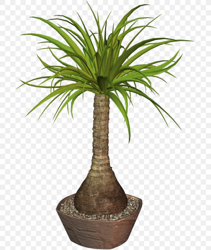 Flowerpot Arecaceae Plant, PNG, 697x975px, Flowerpot, Arecaceae, Arecales, Drawing, Flower Download Free