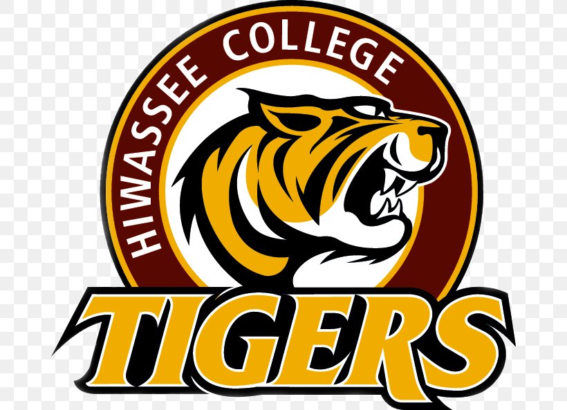 Hiwassee College Tigers Men's Basketball Montreat College Grace College And Theological Seminary, PNG, 672x593px, Montreat College, Area, Artwork, Basketball, Big Cats Download Free