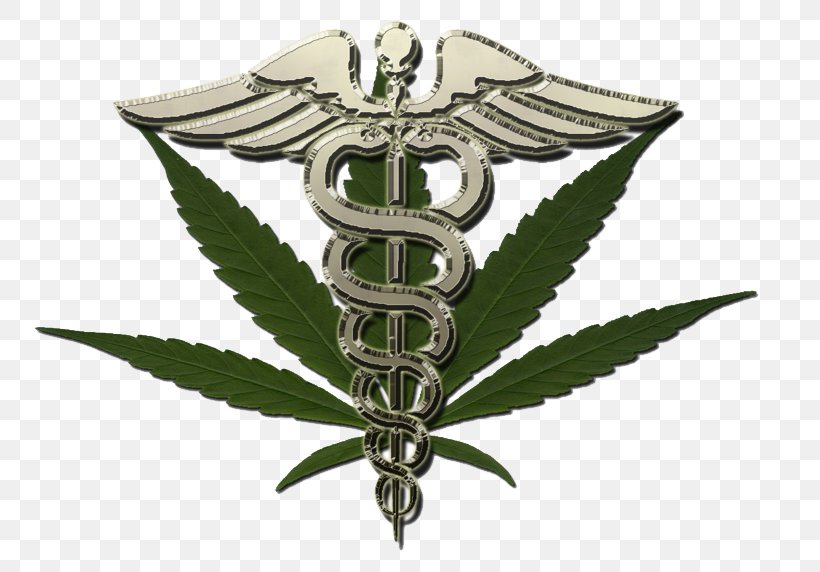 Medical Cannabis Medicine Dispensary Cannabidiol, PNG, 779x572px, Medical Cannabis, Alternative Health Services, Cannabidiol, Cannabinoid, Cannabis Download Free