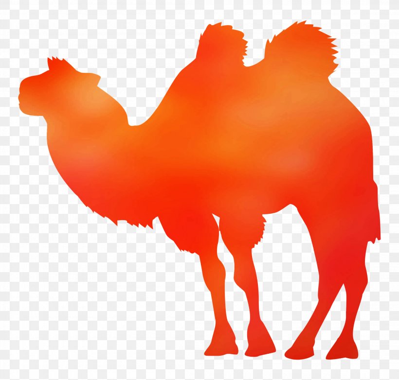 Dromedary Blanket Towel Bactrian Camel Bed, PNG, 2200x2100px, Dromedary, Arabian Camel, Art, Bactrian Camel, Bed Download Free