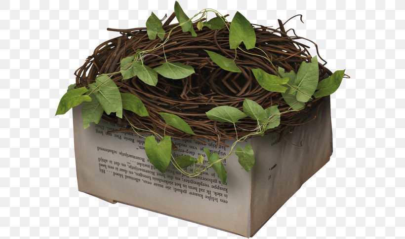 Plant nest