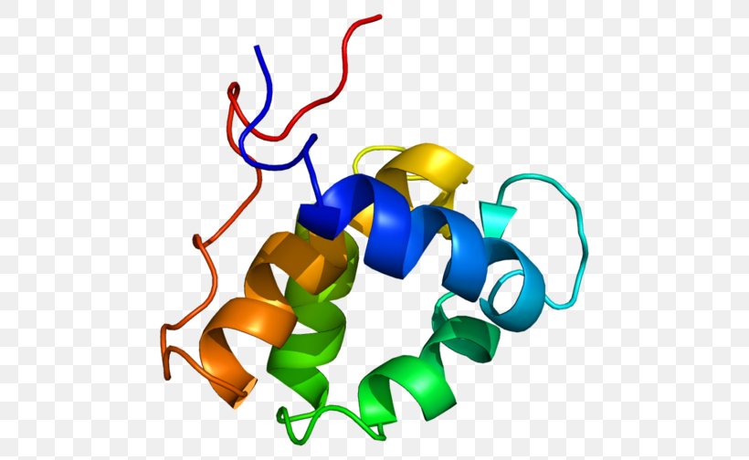 EPS15 Protein Epidermal Growth Factor Receptor Gene, PNG, 500x504px, Protein, Adiponectin, Artwork, Body Jewelry, Enzyme Substrate Download Free