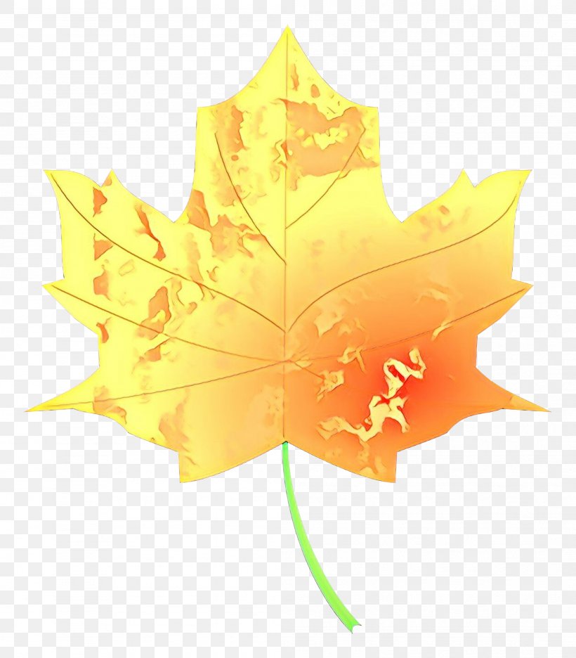 Maple Leaf, PNG, 2101x2399px, Cartoon, Black Maple, Leaf, Maple, Maple Leaf Download Free