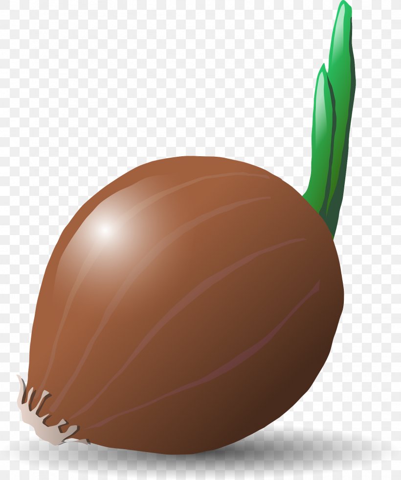 Vegetable Potato Onion Clip Art, PNG, 1605x1920px, Vegetable, Cartoon, Easter Egg, Egg, Food Download Free