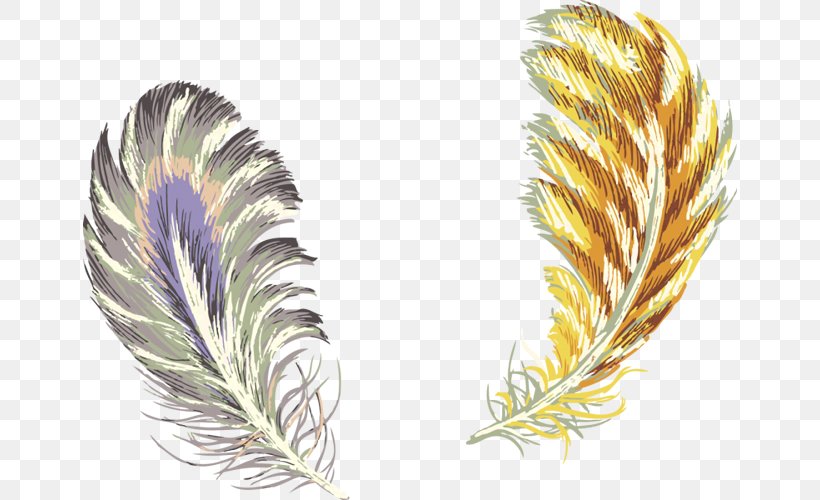 Feather Samsung Galaxy Color Gold, PNG, 654x500px, Feather, Case, Color, Gold, Mobile Phones Download Free