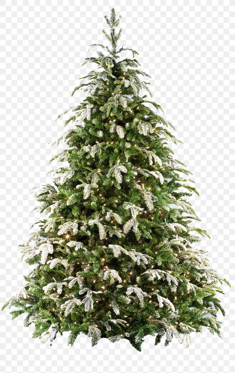 Fraser Fir Artificial Christmas Tree, PNG, 928x1476px, Fraser Fir, Artificial Christmas Tree, Balsam Hill, Christmas, Christmas Decoration Download Free