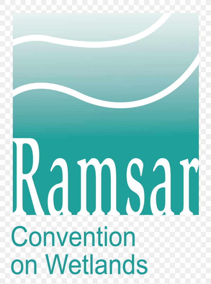 Ramsar, Mazandaran Ramsar Convention Ramsar Site World Wetlands Day, PNG, 1023x1375px, Ramsar Mazandaran, Aqua, Area, Blue, Brand Download Free