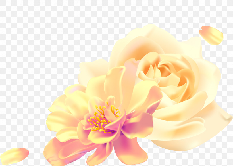 Two Flowers Two Roses Valentines Day, PNG, 1494x1066px, Two Flowers, Cut Flowers, Flower, Garden Roses, Orange Download Free