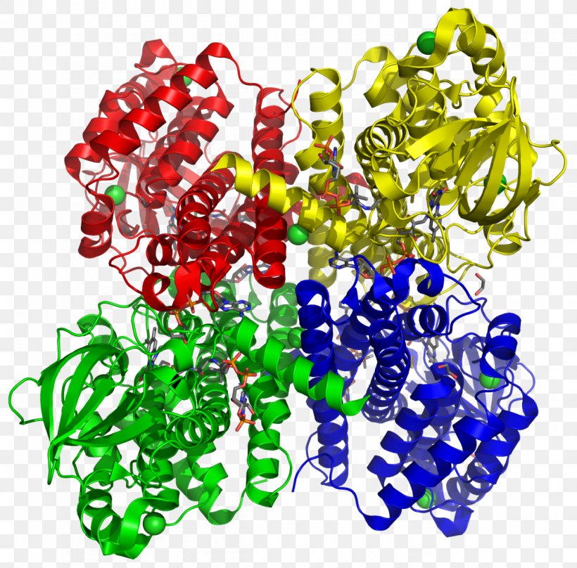 Acyl CoA Dehydrogenase Acyl-CoA Coenzyme A, PNG, 1200x1183px, Acyl Coa Dehydrogenase, Acyl Group, Acylcoa, Beta Oxidation, Body Jewelry Download Free