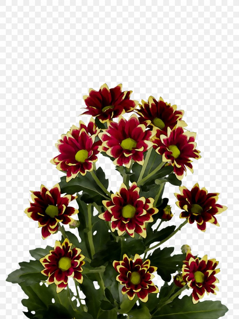 Blanket Flowers Floral Design Chrysanthemum Cut Flowers Annual Plant, PNG, 1416x1888px, Blanket Flowers, Annual Plant, Artificial Flower, Blanket, Bouquet Download Free