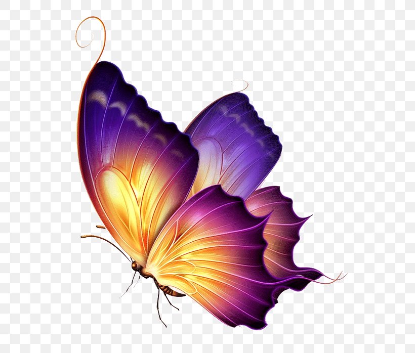 Butterfly Clip Art Tattoo Art Purple, PNG, 675x698px, Butterfly, Art, Brushfooted Butterfly, Color, Drawing Download Free