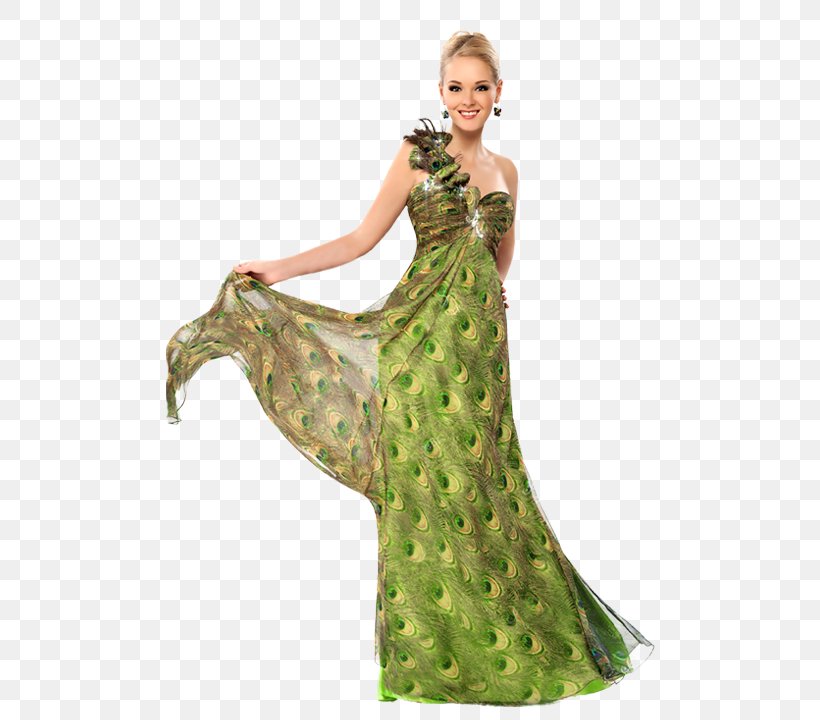 Cocktail Dress Evening Gown, PNG, 500x720px, Dress, Chiffon, Cocktail Dress, Costume, Costume Design Download Free