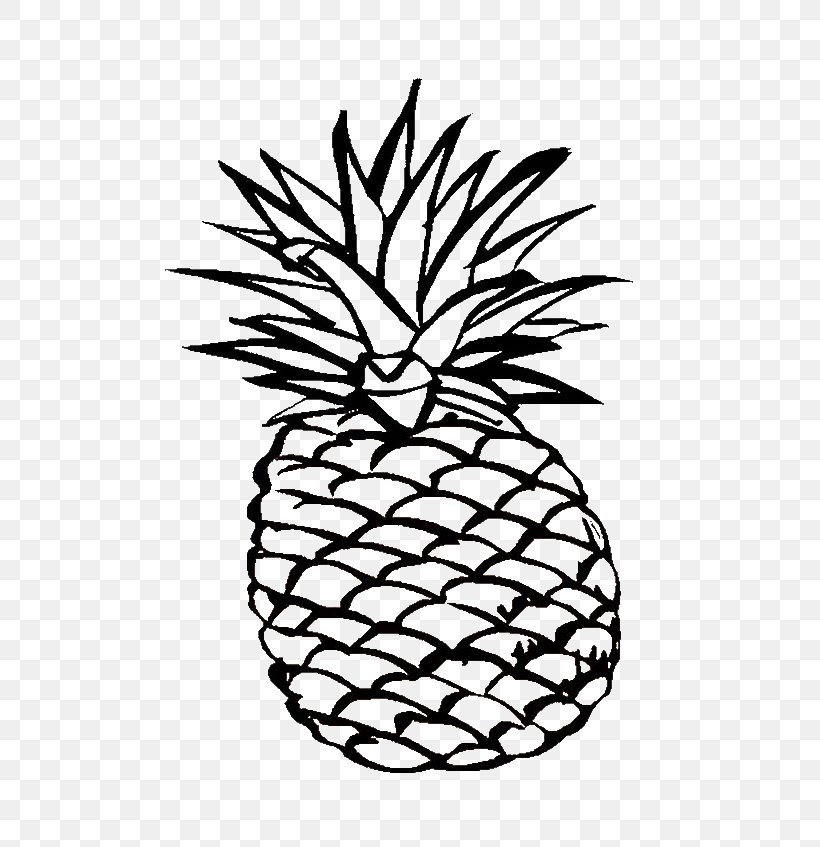 Coloring Book Pineapple Fruit Adult Image, PNG, 600x847px, Coloring Book, Adult, Black And White, Branch, Child Download Free