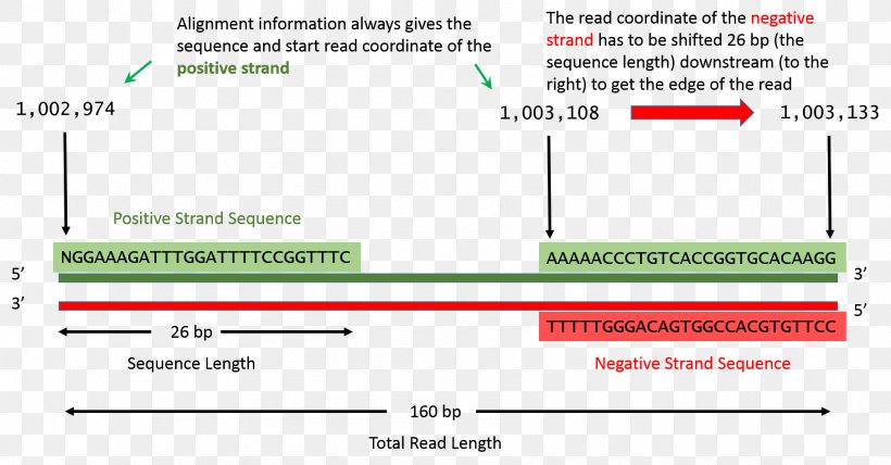 Document Line Green Angle Computer Program, PNG, 1812x946px, Document, Area, Brand, Computer, Computer Program Download Free