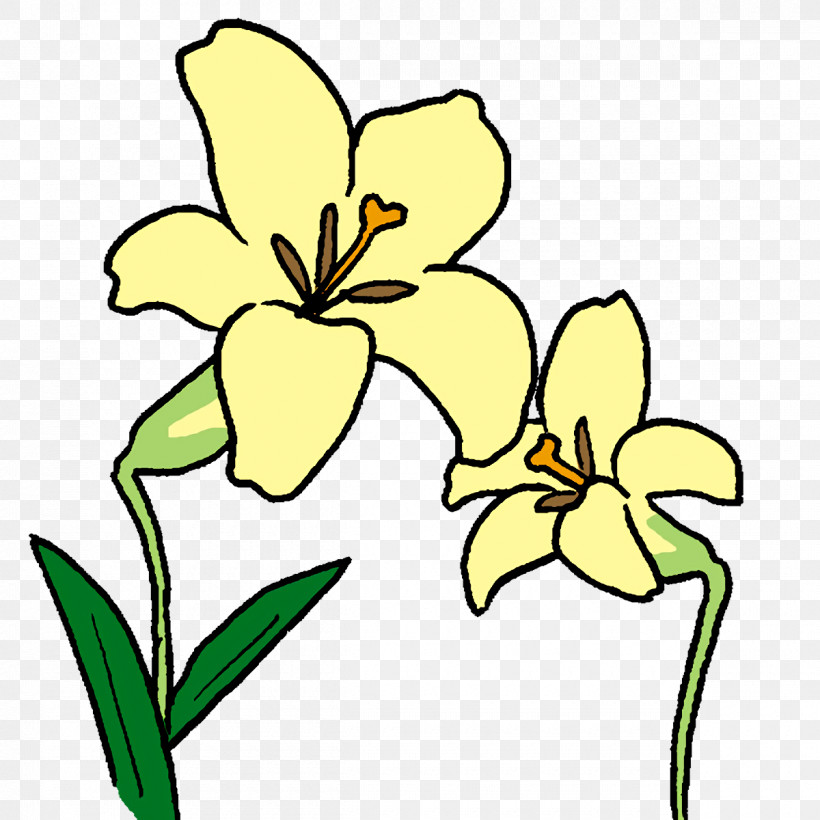 Floral Design, PNG, 1200x1200px, Floral Design, Biology, Cut Flowers, Flower, Herbaceous Plant Download Free