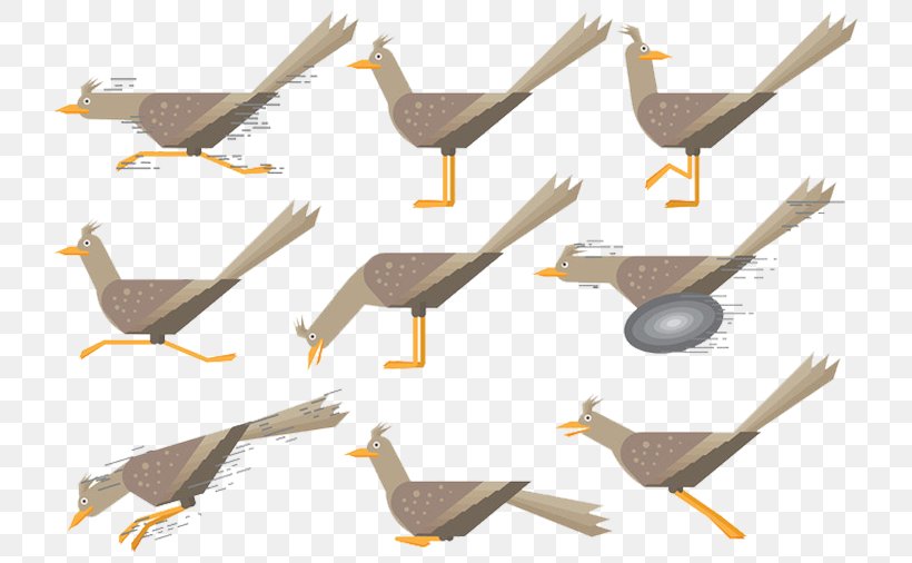 Bird Common Ostrich, PNG, 723x506px, Bird, Beak, Common Ostrich, Flightless Bird, Scalable Vector Graphics Download Free