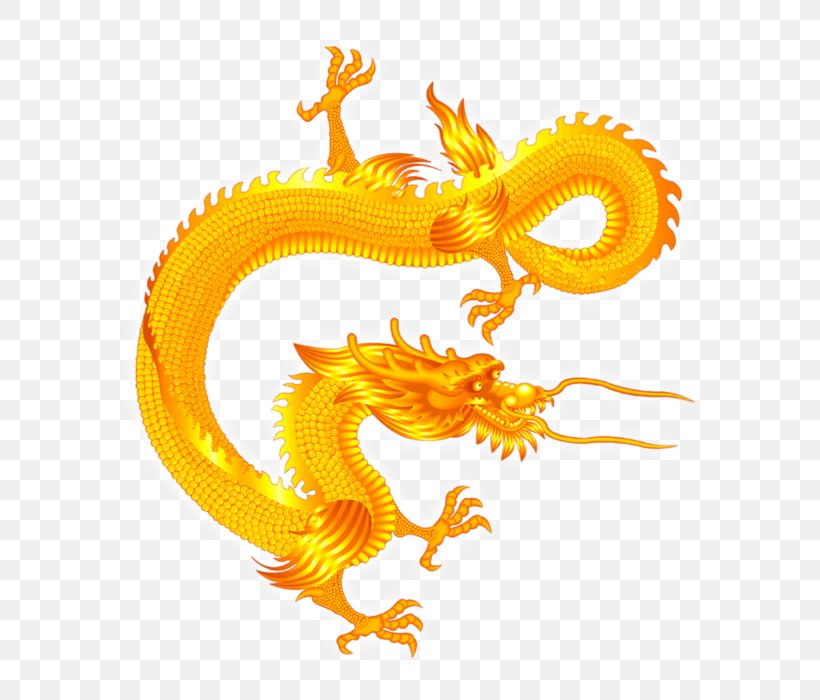 Chinese Dragon Digital Image China, PNG, 700x700px, Dragon, Animal ...