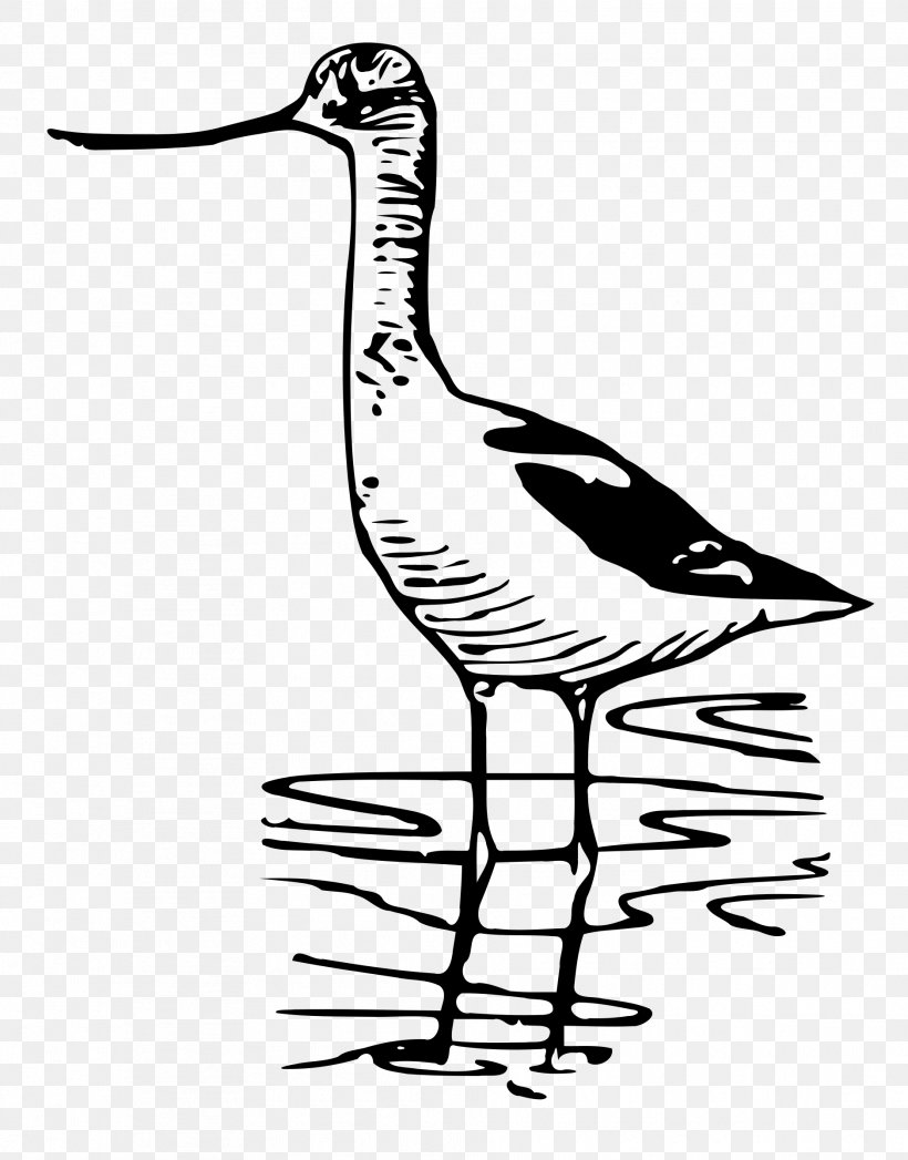 Goose Bird Duck Wader Clip Art, PNG, 1879x2400px, Goose, Art, Artwork, Beak, Bird Download Free