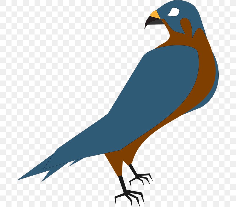 Hawk Free Content Clip Art, PNG, 701x720px, Hawk, Animation, Beak, Bird, Bird Of Prey Download Free