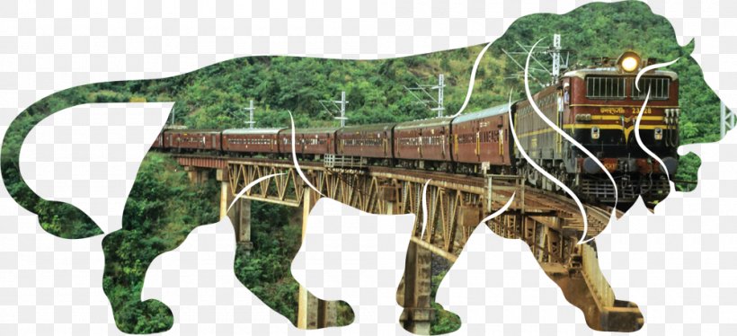 Indian Railways Rail Transport Train Minister Of Railways Of India, PNG, 1000x457px, India, Animal Figure, Carnivoran, Cat Like Mammal, Indian Railways Download Free