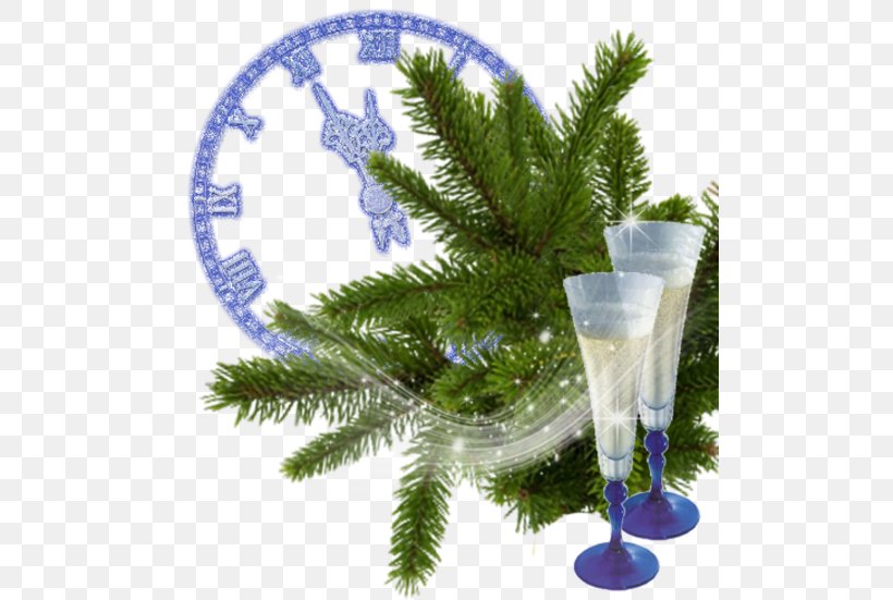 Christmas Ornament Spruce Alcoholic Drink Alcoholism, PNG, 500x551px, Christmas Ornament, Alcoholic Drink, Alcoholism, Branch, Christmas Download Free