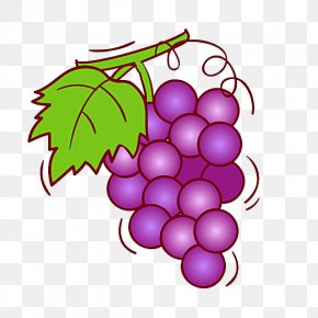 Muscadine Grape Wine Clip Art, PNG, 2947x2402px, Muscadine Grape ...