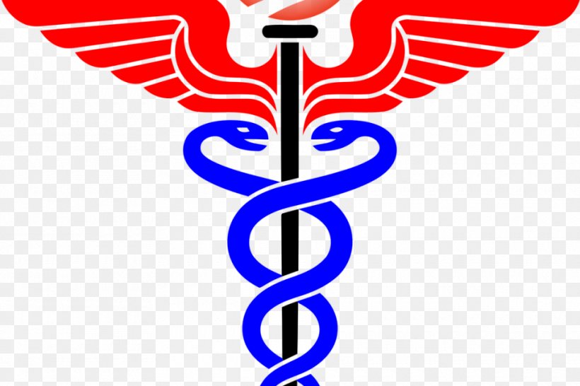 Staff Of Hermes Caduceus As A Symbol Of Medicine Alternative Health Services, PNG, 960x640px, Staff Of Hermes, Alternative Health Services, Area, Artwork, Brand Download Free