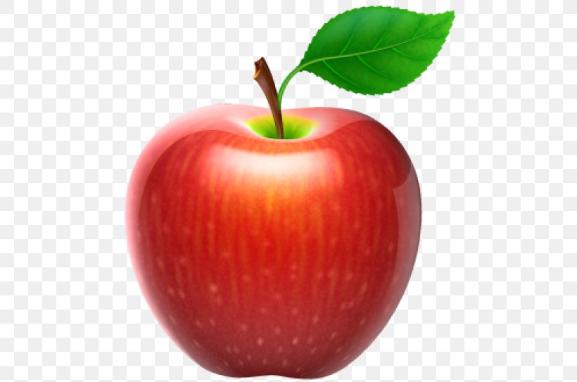 Apple Fruit Clip Art, PNG, 480x543px, Apple, Accessory Fruit, Big Apple, Diet Food, Flat Design Download Free