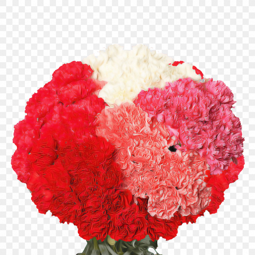 Garden Roses, PNG, 1000x1000px, Garden Roses, Artificial Flower, Carnation, Cut Flowers, Floral Design Download Free