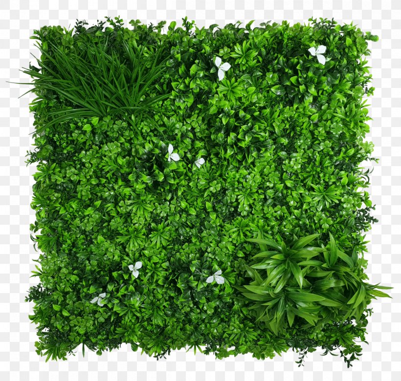 Green Grass Background, PNG, 1200x1142px, Green Wall, Annual Plant, Artificial Turf, Designer Vertical Gardens, Flower Download Free