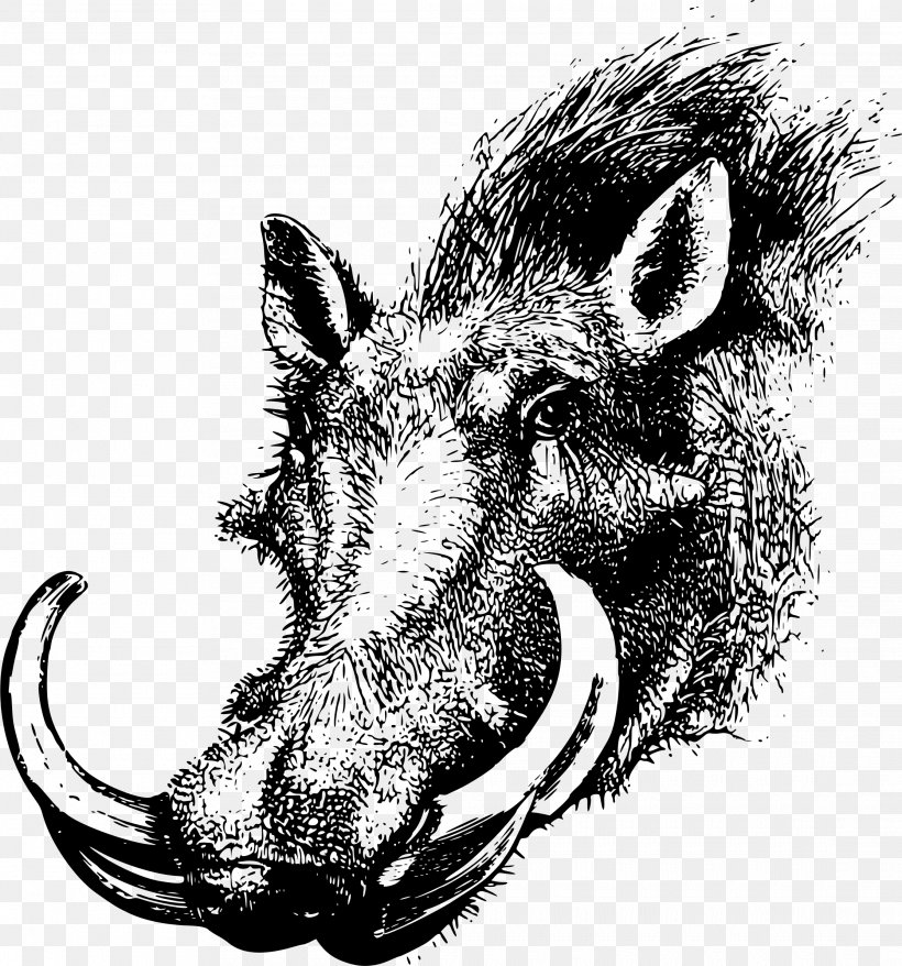 Common Warthog Wild Boar Fairchild Republic A-10 Thunderbolt II T-shirt Clip Art, PNG, 2230x2389px, Common Warthog, Animal, Black And White, Drawing, Fauna Download Free