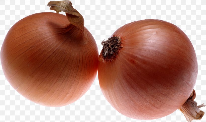 Onion Download Wallpaper, PNG, 3262x1935px, Blooming Onion, Food, Ingredient, Onion, Onion Genus Download Free