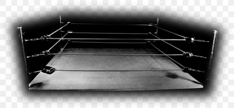Boxing Rings Wrestling Ring Sport Boxing News, PNG, 863x400px, Boxing, Bantamweight, Black, Black And White, Boxing Glove Download Free