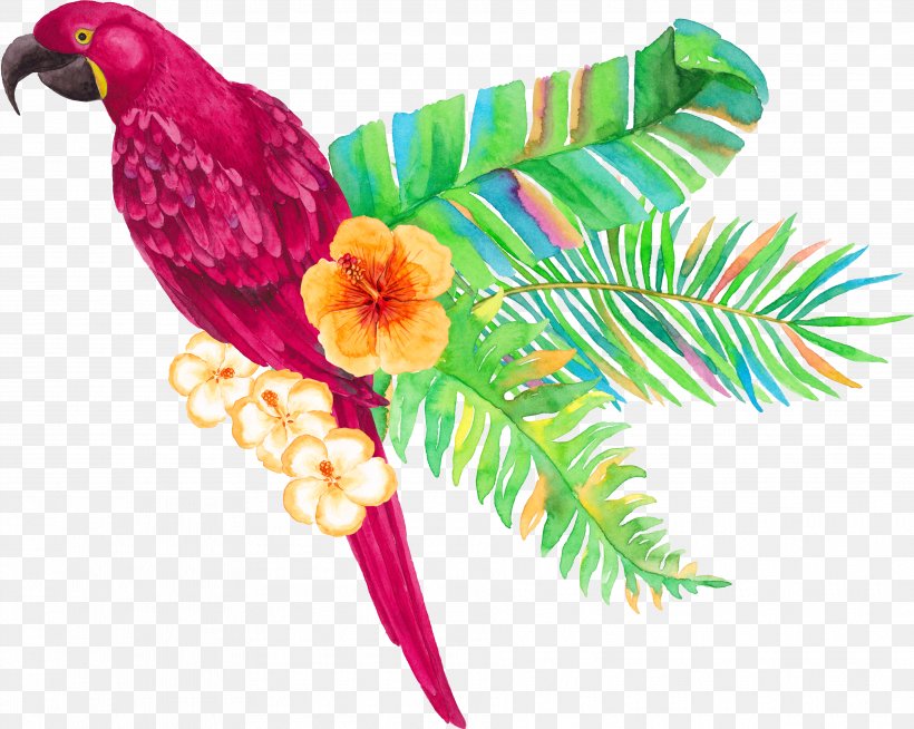 Parrot Tropics Arecaceae, PNG, 3756x2998px, Parrot, Arecaceae, Beak, Bird, Branch Download Free