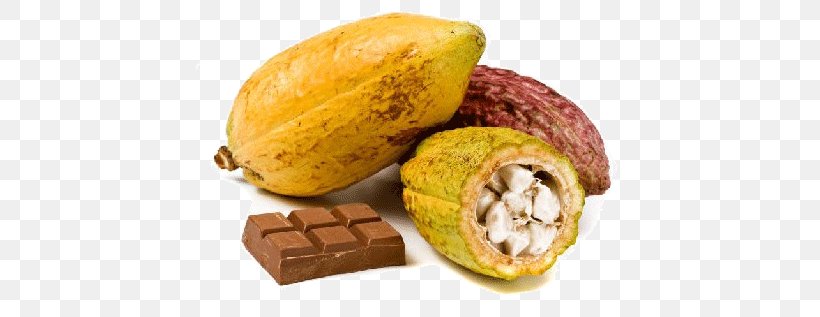 Hot Chocolate Chocolate Bar Cocoa Bean Cocoa Solids, PNG, 431x317px, Hot Chocolate, Chocolate, Chocolate Bar, Cocoa Bean, Cocoa Butter Download Free