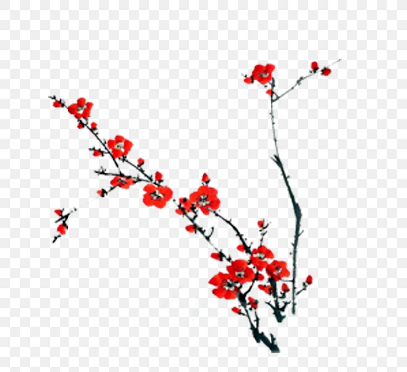 Red And White Plum Blossoms, PNG, 750x750px, Red And White Plum Blossoms, Black And White, Blossom, Branch, Cherry Blossom Download Free