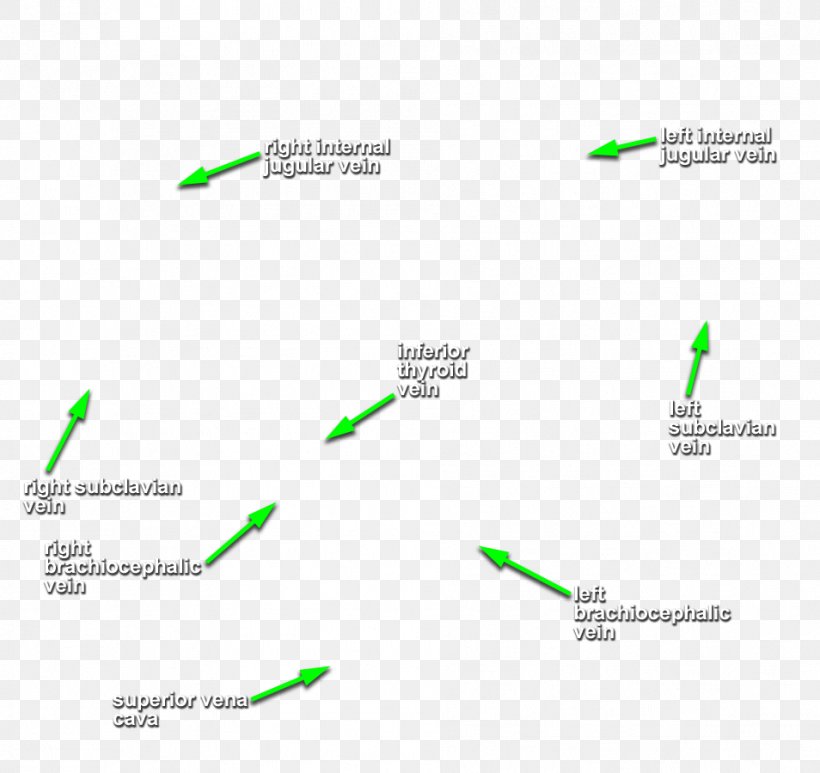 Brand Logo Line Angle, PNG, 954x900px, Brand, Diagram, Grass, Green, Logo Download Free