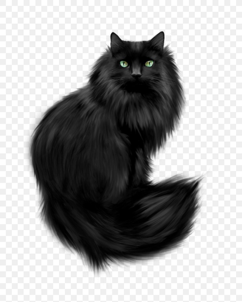 Clip Art Cat Kitten Image Greeting & Note Cards, PNG, 799x1024px, Cat, Asian Semi Longhair, Birthday, Black, Black And White Download Free