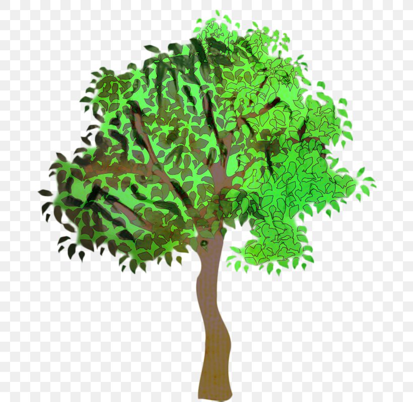 Oak Tree Leaf, PNG, 800x800px, Branch, Arbor Day, Arborist, Cartoon, Elm Download Free