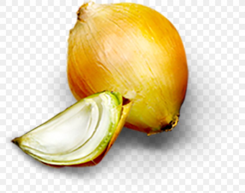 Onion Food, PNG, 972x768px, Onion, Allium Ampeloprasum, Cartoon, Drawing, Food Download Free