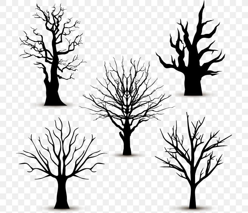 Vector Graphics Tree Branch Image, PNG, 714x705px, Tree, Black And White, Branch, Drawing, Leaf Download Free