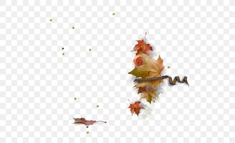 Desktop Wallpaper Maple Leaf Sketch, PNG, 500x500px, Maple Leaf, Autumn, Branch, Digital Image, Flora Download Free