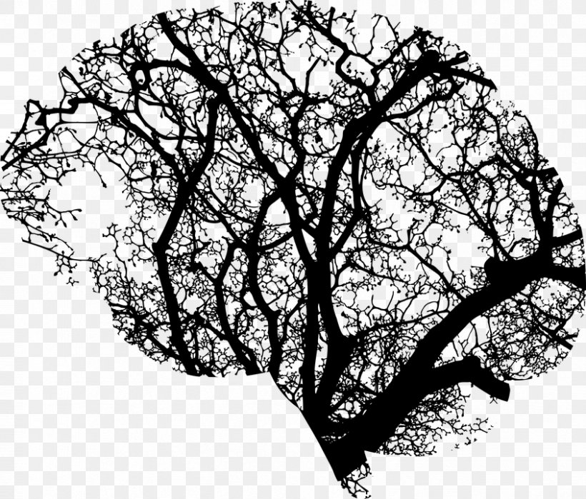 Human Brain Tree Clip Art, PNG, 844x720px, Brain, Black And White, Brain Injury, Branch, Human Brain Download Free