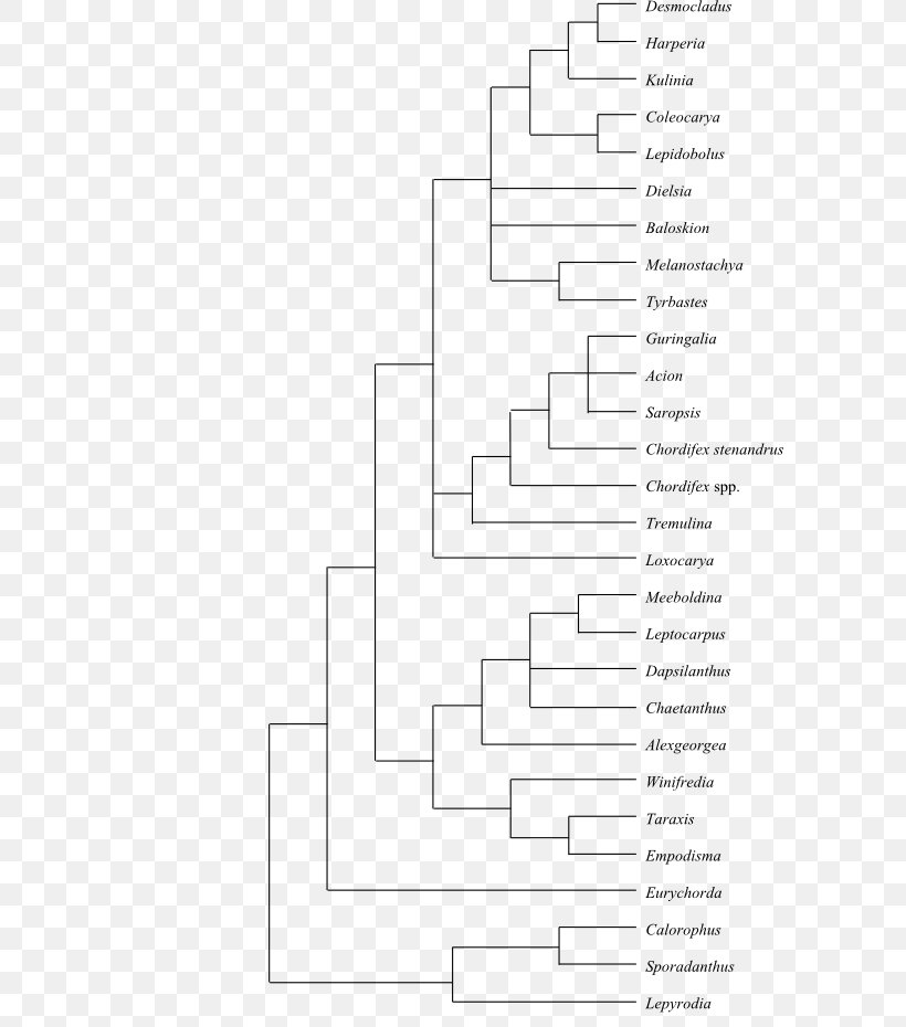 Document Line Angle, PNG, 600x930px, Document, Area, Black And White, Diagram, Monochrome Download Free