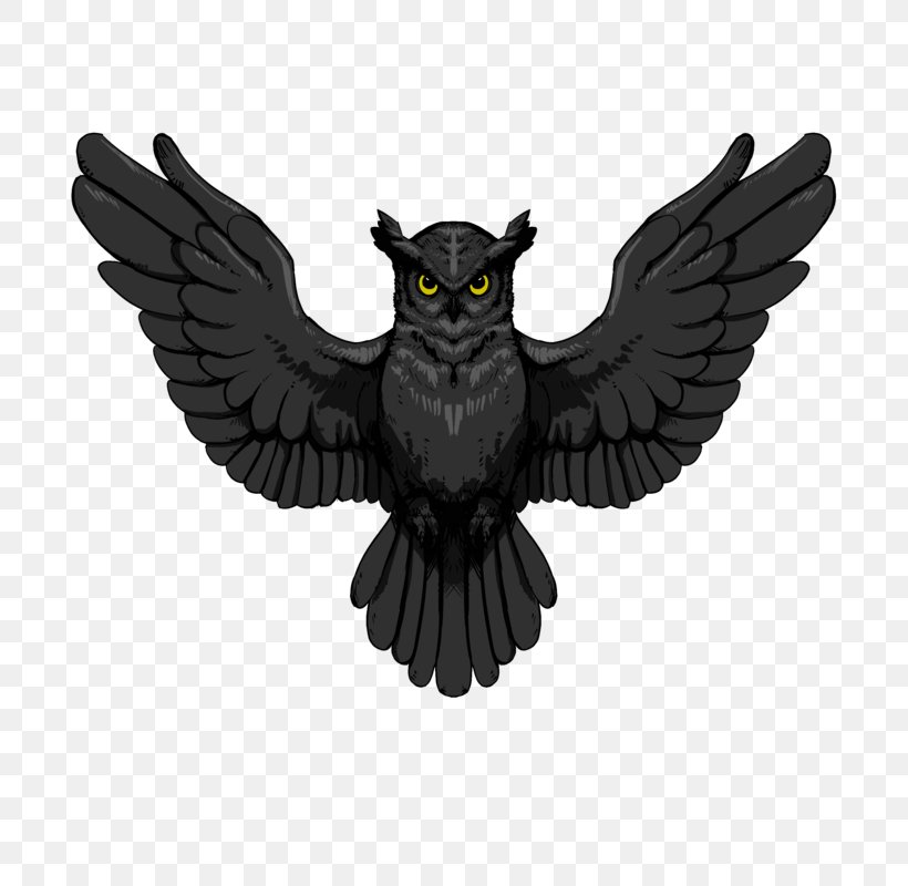 Owl Bird Of Prey Beak Escape From Tarkov, PNG, 800x800px, Owl, Animal, Art, Beak, Bird Download Free