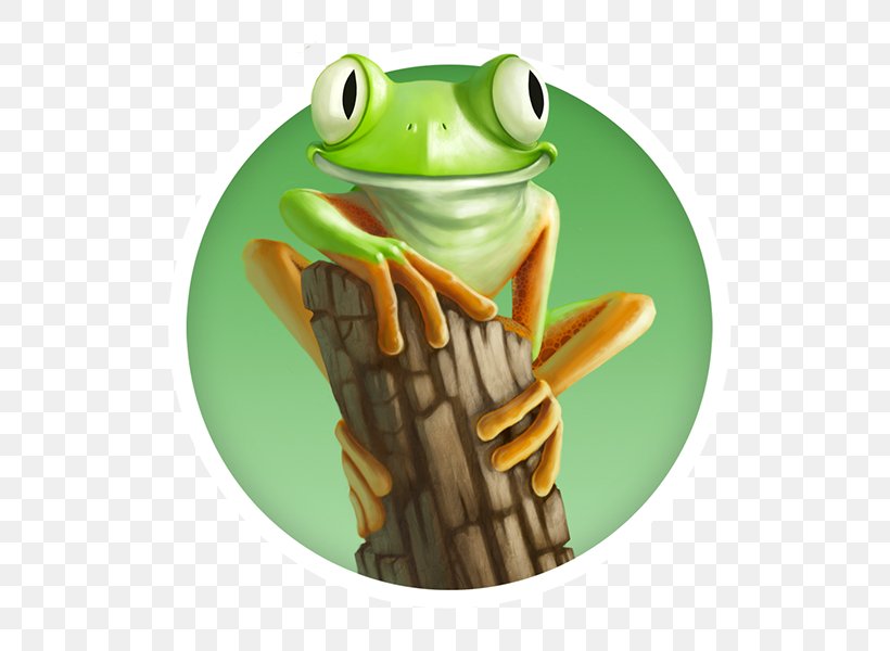 Tree Frog True Frog Brazil Information, PNG, 600x600px, Tree Frog, Agalychnis, Amphibian, Behance, Book Download Free