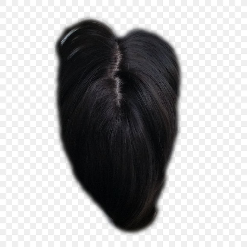 Long Hair Artificial Hair Integrations Bangs Black Hair, PNG, 674x819px, Long Hair, Artificial Hair Integrations, Bangs, Black, Black Hair Download Free