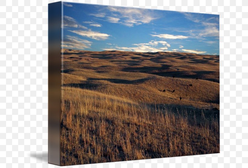 Sandhills Nebraska Prairie Gallery Wrap Ecoregion, PNG, 650x556px, Sandhills, Art, Canvas, Ecoregion, Ecosystem Download Free